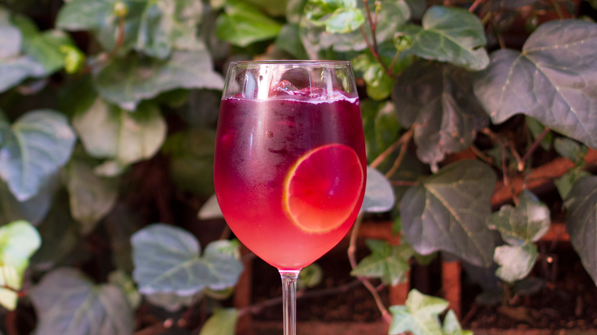 Tinto de Verano - Crepes&Waffles